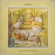 GENESIS / Selling England By The Pound 月影の騎士 (Charisma, 25VB-1098, LP)