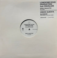 LONESOME ECHO PRODUCTION / Soul Galactic (Mr.V Remix) (GRGAS-0007) 12inch