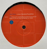 TONE THEORY / Limbo Of Vanished Possibilities (Plk022)