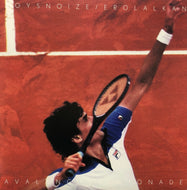 EROL ALKAN & BOYS NOIZE / Avalanche / Lemonade (PH08) 12inch