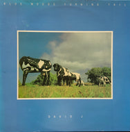 DAVID J / Blue Moods Turning Tail (GLAEP 101)