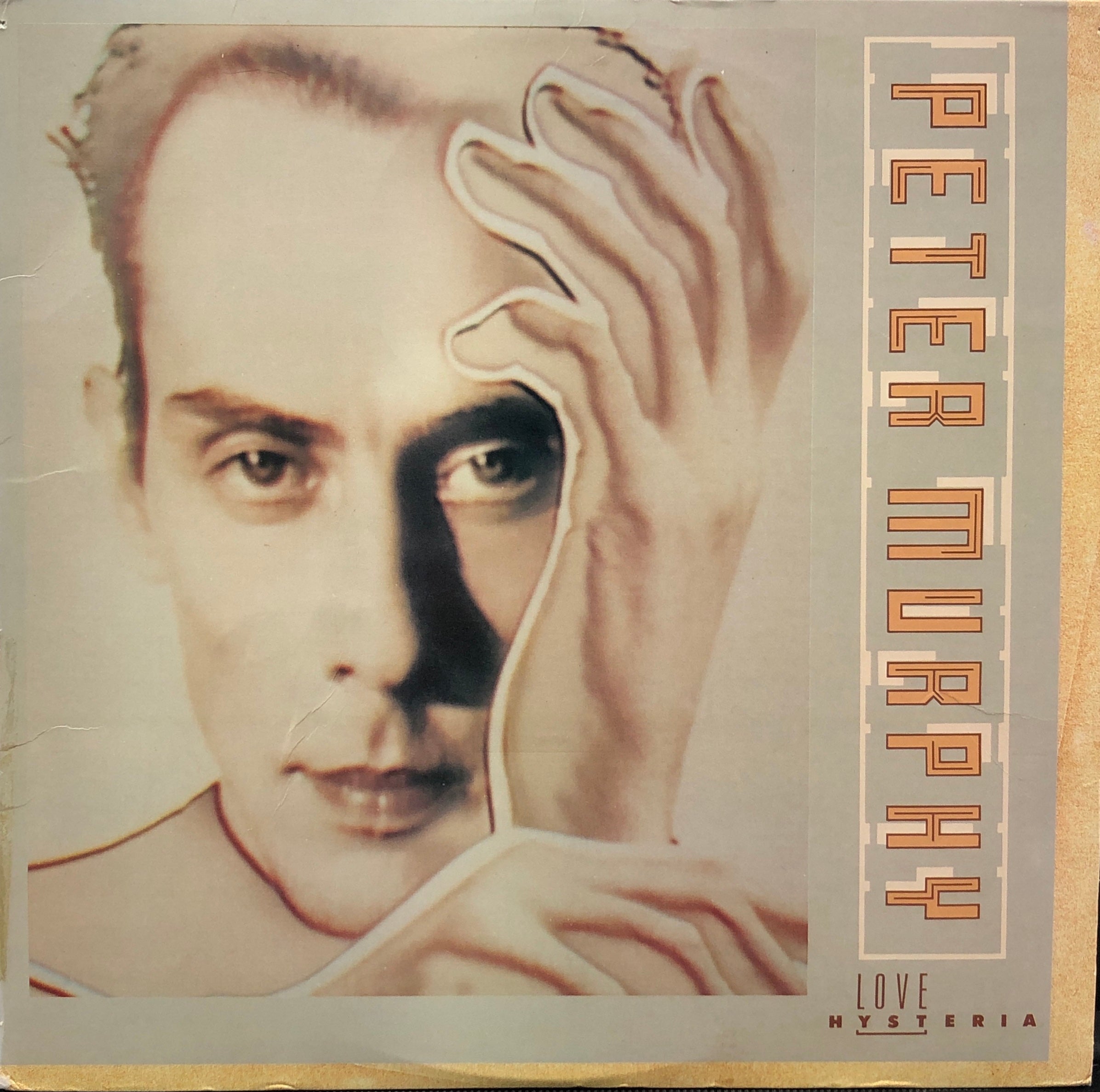 直販専門店 超レア Peter Murphy ピーターマーフィー 1989年製