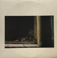 MORRISSEY MULLEN / It's About Time... (C25Y0135)