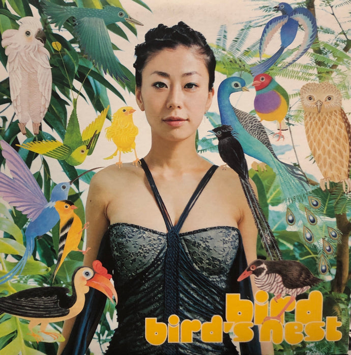 bird / bird's nest 2LP レコードバード bird / bird's nest 2LP レコードバード
