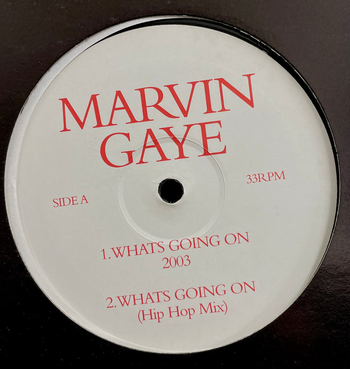 MARVIN GAYE / What's Going On 2003 (GAYE-01 Promo, 12inch)