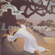 HAJIME TACHIBANA (立花ハジメ) / Low Power (CD)