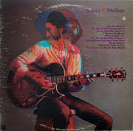 DAVID T. WALKER / David T. Walker LP
