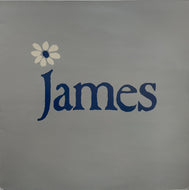JAMES / How Was It For You? (Fontana, 12inch)