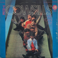COWSILLS / We Can Fly (MGM, LP)