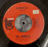 SUNRAYS / Andrea / You Don't Phase Me (7inch)