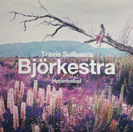 TRAVIS SULLIVAN'S BJORKESTRA  / Hyperballad (Disc Minor, DM-0021, 12inch)