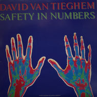 DAVID VAN TIEGHEM / Safety In Numbers