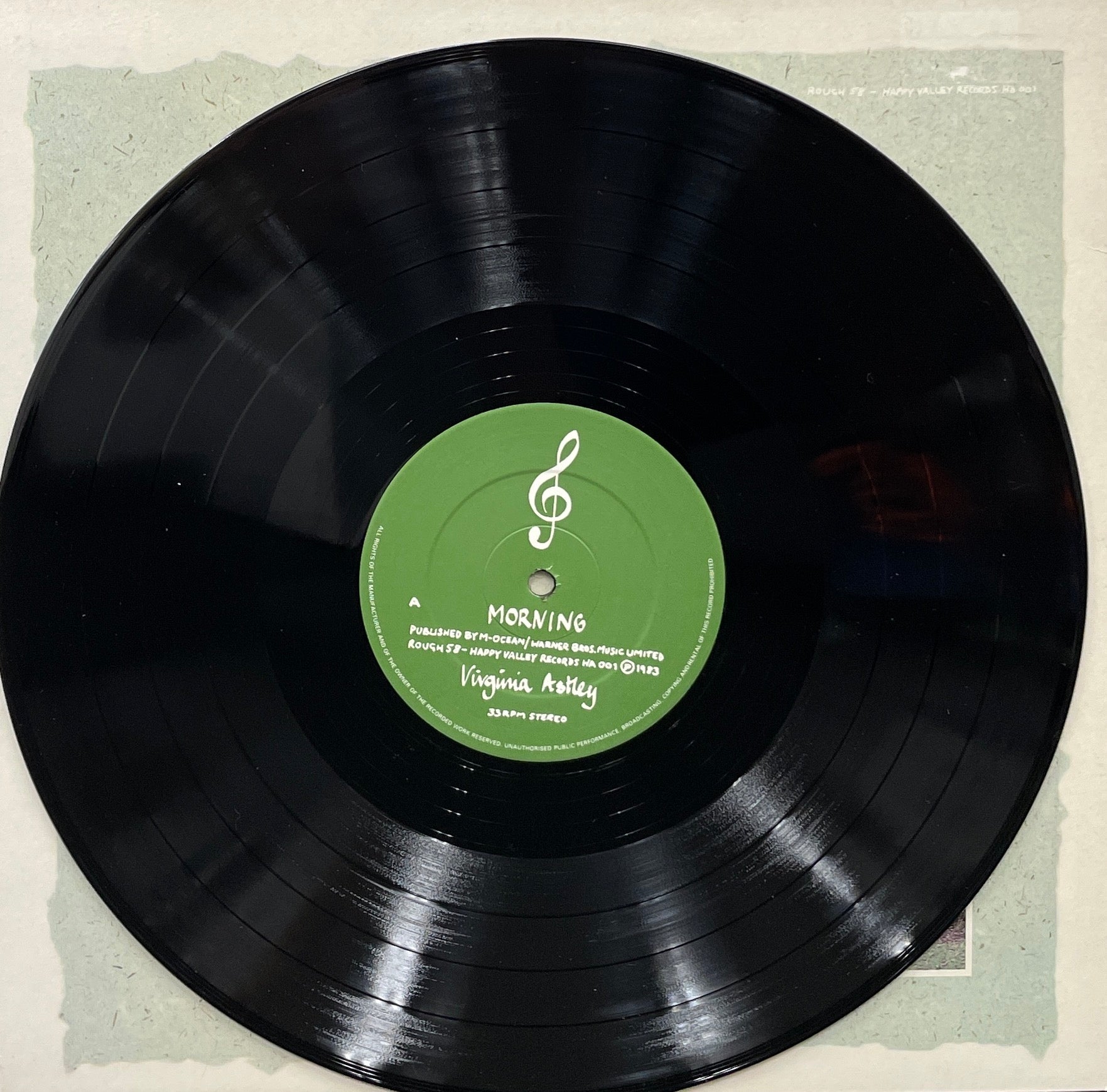 VIRGINIA ASTLEY / From Gardens Where We Feel Secure (Rough Trade