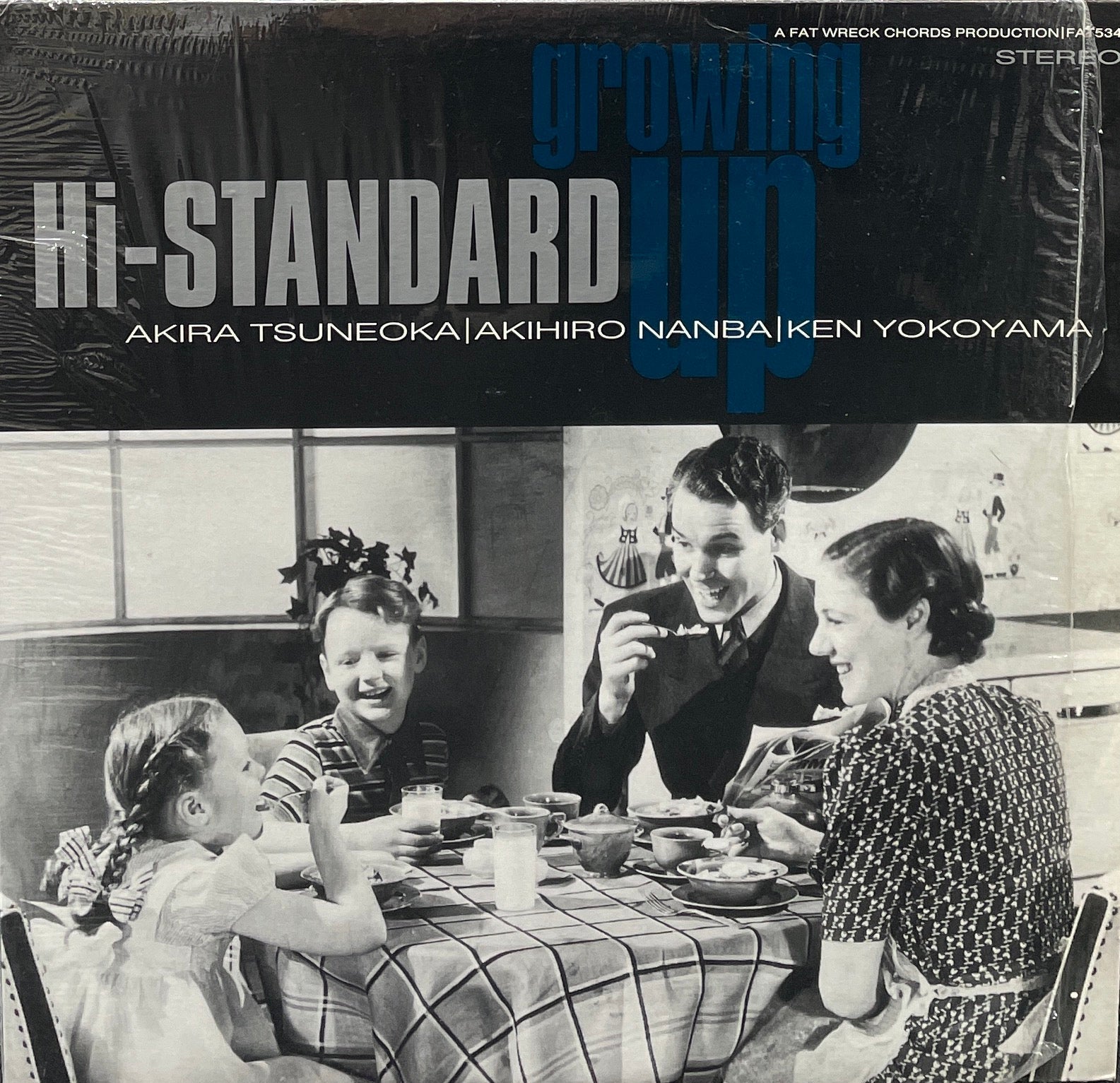 Hi-STANDARD ハイスタ GROWING UP レコード