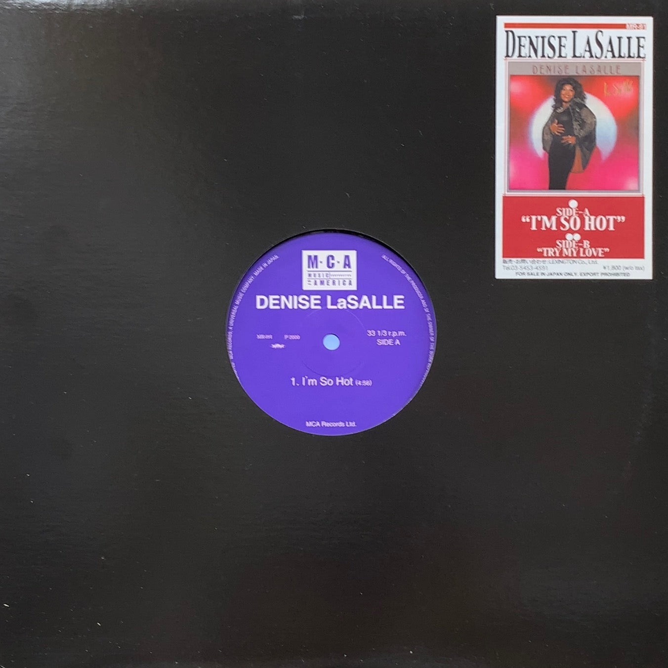 DENISE LaSALLE / I'm So Hot／Try My Love (MR - 091, 12inch) – TICRO MARKET