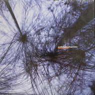 JOE McDUPREY EXPERIENCE / Experience EP (STH 2049, 12inch)