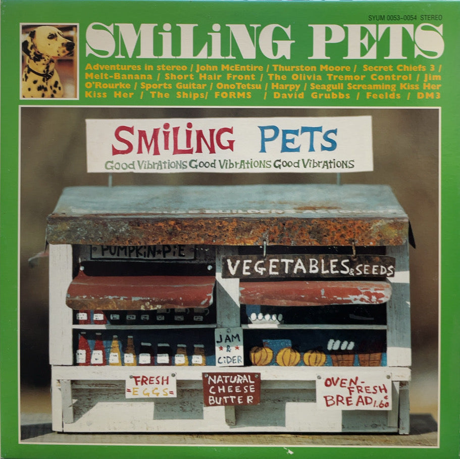 V.A. (Jim O'Rourke, Thurston Moore) / Smiling Pets 2LP – TICRO MARKET