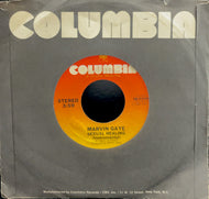 MARVIN GAYE / Sexual Healing (38-03302, 7inch)