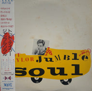 TOT TAYLOR / Jumble Soul 帯付
