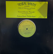 VINNIE COLAIUTA / With A Lil' Help From My Friends Volume.1