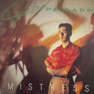 GABI DELGADO / Mistress (VIRGIN, VIL-6044, LP)
