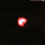 JOHN THOMAS / VISION : ARIL BRIKHA REMIX
