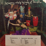 JEREMY STEIG / TEMPLE OF BIRTH