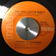 JIMMY CASTOR BUNCH / TROGLODYTE (CAVE MAN) /I PROMISE TO REMEMBER