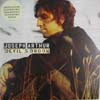 JOSEPH ARTHUR / DEVIL'S BROOM