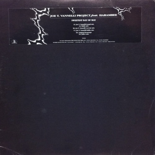 JOE T. VANNELLI PROJECT / SWEETEST DAY OF MAY – TICRO MARKET