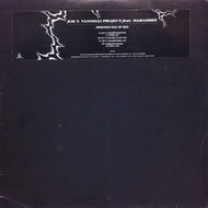 JOE T. VANNELLI PROJECT / SWEETEST DAY OF MAY
