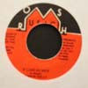 JUNIOR KELLY / IF LOVE SO NICE