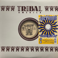 JOE T. VANNELLI PROJECT / Sweetest Day Of May