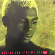 JAMIE PRINCIPLE / YOU'RE ALL I'VE WAITED 4