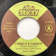 JEWEL BASS / RICHARD STOUTE / I TRIED IT & I LIKED IT