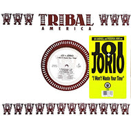 JOI + JORIO / I WON'T WASTE YOUR TIME