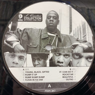 JAY-Z / S. Carter Collection