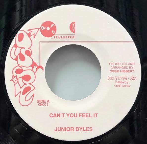 JUNIOR BYLES / Can't You Feel It