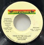 JAH CURE / Trod In The Valley