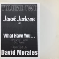 JANET JACKSON / What Have You...