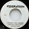 JANET feat: VYBZ CARTEL / I WANT YOU