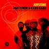 JIMI TENOR & KABU KABU / JOYSTONE