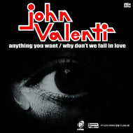 JOHN VALENTI / Anything You Want / Why Don't We Fall In Love 