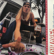 KID ROCK / DEVIL WITHOUT A CAUSE