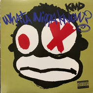 KMD / What A Nigga Know?