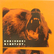 KUBICHEK / NIGHTJOY