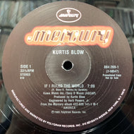 KURTIS BLOW / If I Ruled The World (Promo)