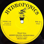 KENNY KNOTS / DREAD LION