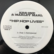 KRS-ONE & MARLEY MARL / HIP HOP LIVES
