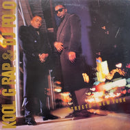 KOOL G RAP & DJ POLO / STREETS OF NEW YORK (us original)